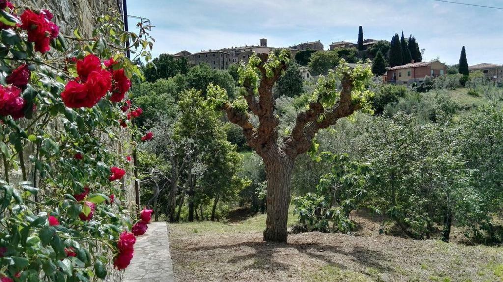 Colombaio In Colle Bed and Breakfast Sant'Angelo in Colle Eksteriør billede