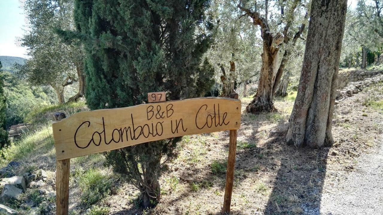 Colombaio In Colle Bed and Breakfast Sant'Angelo in Colle Eksteriør billede