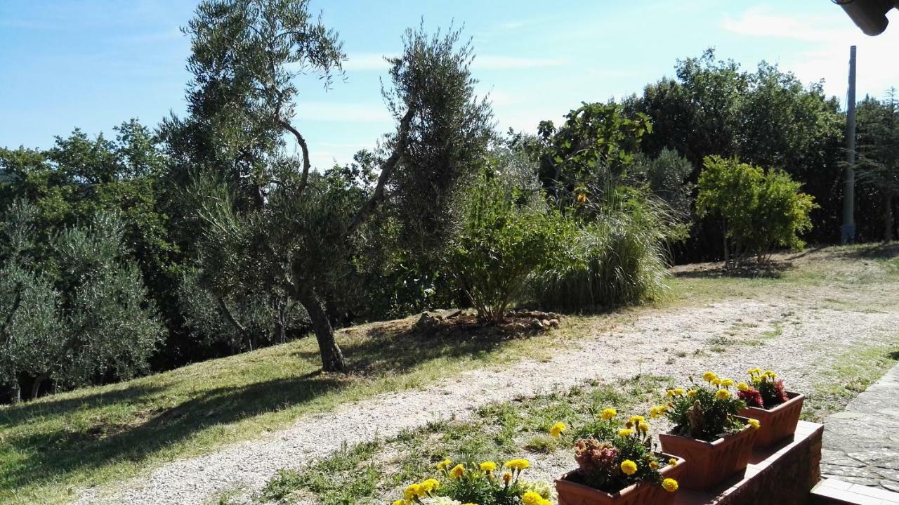 Colombaio In Colle Bed and Breakfast Sant'Angelo in Colle Eksteriør billede